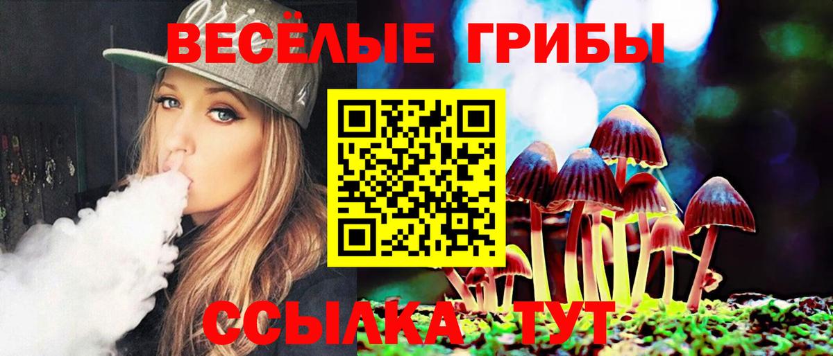 Псилоцибиновые грибы Psilocybine cubensis  Вход с VPN  Куйбышев 